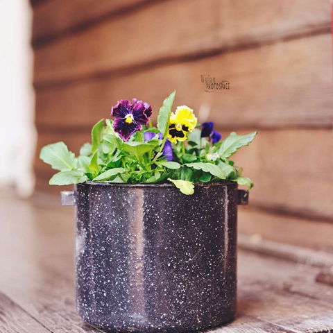 The York Mill - Pubs Adelaide 0