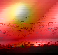 TINH and LAN Vietnamese Restaurant - Pubs Adelaide