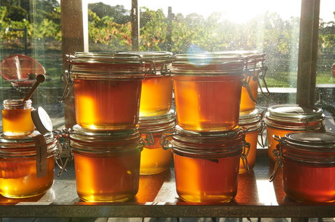 Barnyard1978 - Pubs Adelaide 2