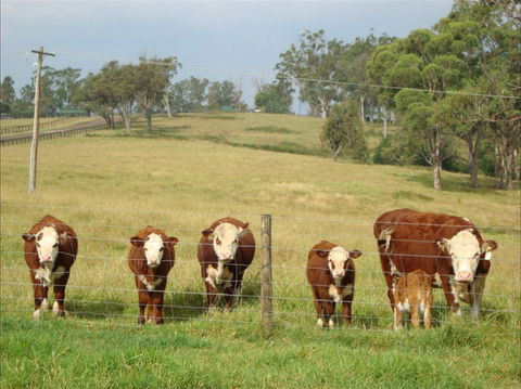 Langdale Farm - Pubs Adelaide 1
