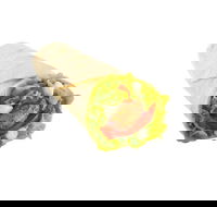 Oporto - Petrie Terrace - Pubs Adelaide