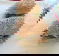 Taylor's Seafood - Pubs Adelaide