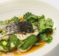 The Mossy Cafe - Pubs Adelaide