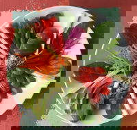 Olive Bus Clare - Pubs Adelaide