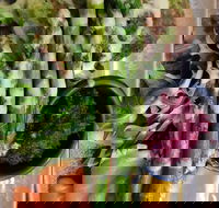 Stone cold - Pubs Adelaide