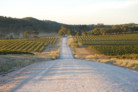 Stone Bridge Wines - Pubs Adelaide 0