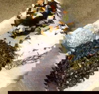 Frollicking Frog - Pubs Adelaide