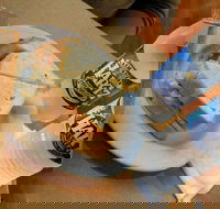 Museum Coffee Shop - Pubs Adelaide