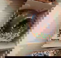 My Donut Box - Campbelltown - Pubs Adelaide