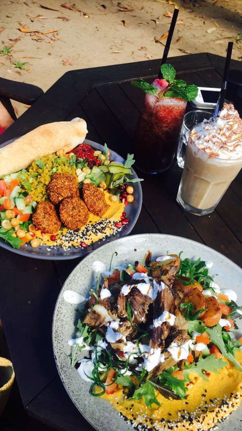 Rainforest Cafe Restaurant - Pubs Adelaide 0