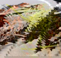 Rising Sun Hotel - Pubs Adelaide