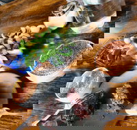 Bayano the Rebel - Pubs Adelaide