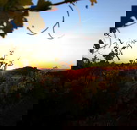 Glenbosch Wine Estate - Pubs Adelaide