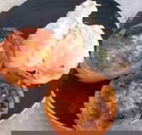 The Deck Poolside Bar  Restaurant - Pubs Adelaide