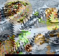 Zambrero Griffith - Pubs Adelaide