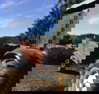 Massena - Pubs Adelaide