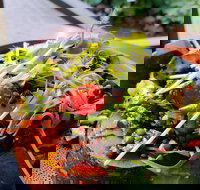 The Berry Farm Cottage Caf - Pubs Adelaide