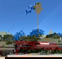 The Vine Hotel North Wangaratta - Pubs Adelaide