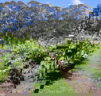 Woongooroo Estate Winery - Pubs Adelaide