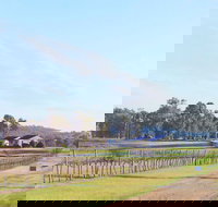 Blacklea Vineyard and Olive Grove - Pubs Adelaide