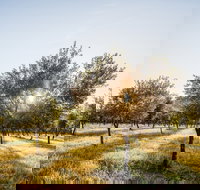 Guneemooroo Estate - Pubs Adelaide