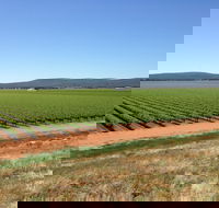 Melange Wines - Pubs Adelaide