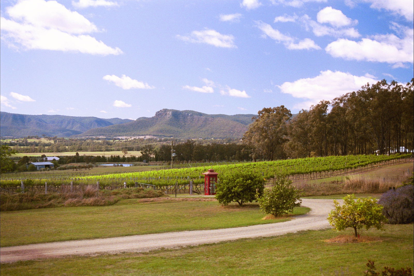 Fordwich NSW Pubs Adelaide