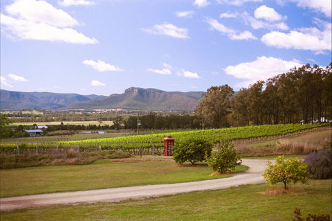 Catherine Vale Wines - Pubs Adelaide 0