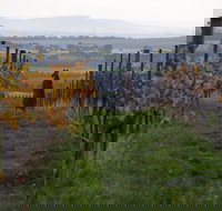 Barwon Ridge Wines - Pubs Adelaide