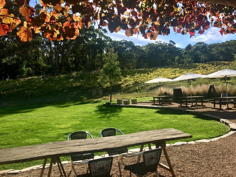 Deviation Road Winery - Pubs Adelaide 0