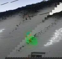 Jessie's Girl - Pubs Adelaide