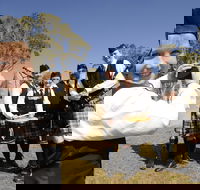 Peppermints Coffee Lounge - Pubs Adelaide