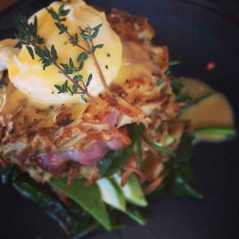 The Office On Harrogate - Pubs Adelaide 0