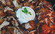 Alwaha Restaurant - thumb 0