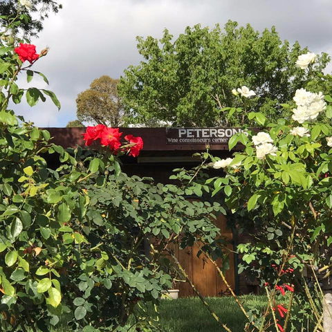 Petersons Wines - Pubs Adelaide 1