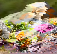 Australian Arid Lands Botanic Garden - Bluebush Cafe - Pubs Adelaide