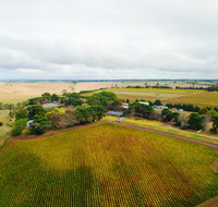 Pettavel Wines - Pubs Adelaide