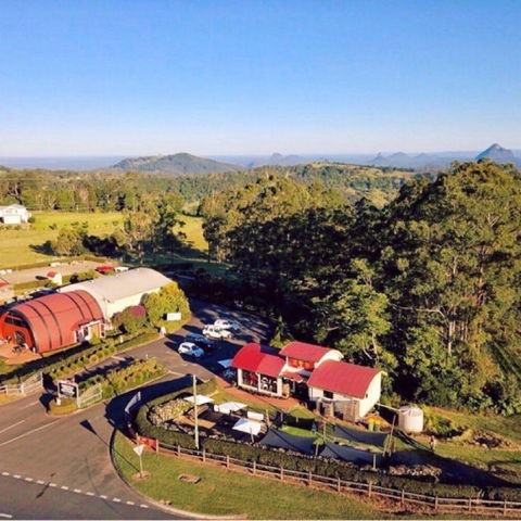 Live Foods Cafe - Pubs Adelaide 0
