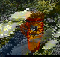 Utopia - Booragoon - Pubs Adelaide