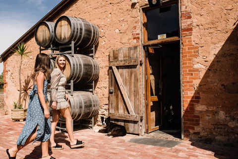 Shingleback Wine - Pubs Adelaide 1