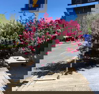 Alpine Gate Cafe - Pubs Adelaide