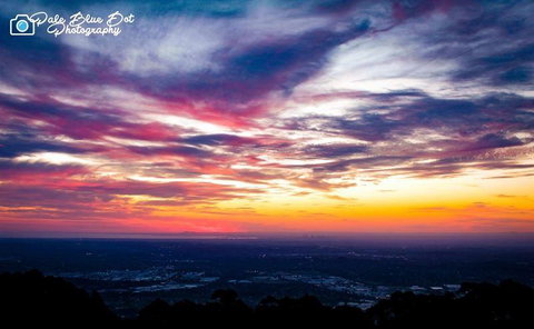 Bluebush Cafe - Pubs Adelaide 29