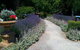 Bluebush Cafe - thumb 6