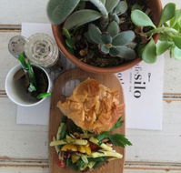 Cafe Silo - Pubs Adelaide