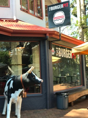 Montville QLD Pubs Adelaide