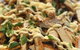 The Lunchroom - thumb 7