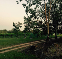Brierley Wines - Pubs Adelaide