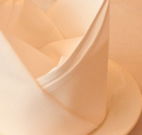 Touch of North India - Pubs Adelaide