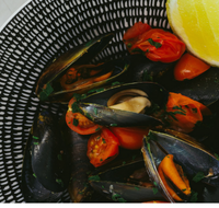 The Italian Diner - Pubs Adelaide