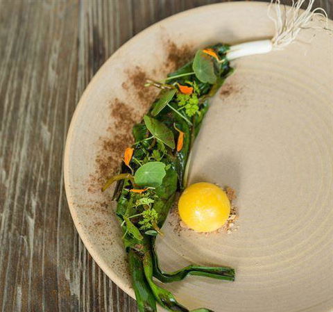The Long Apron - Pubs Adelaide 12